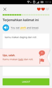 Duolingo Wrong Answer